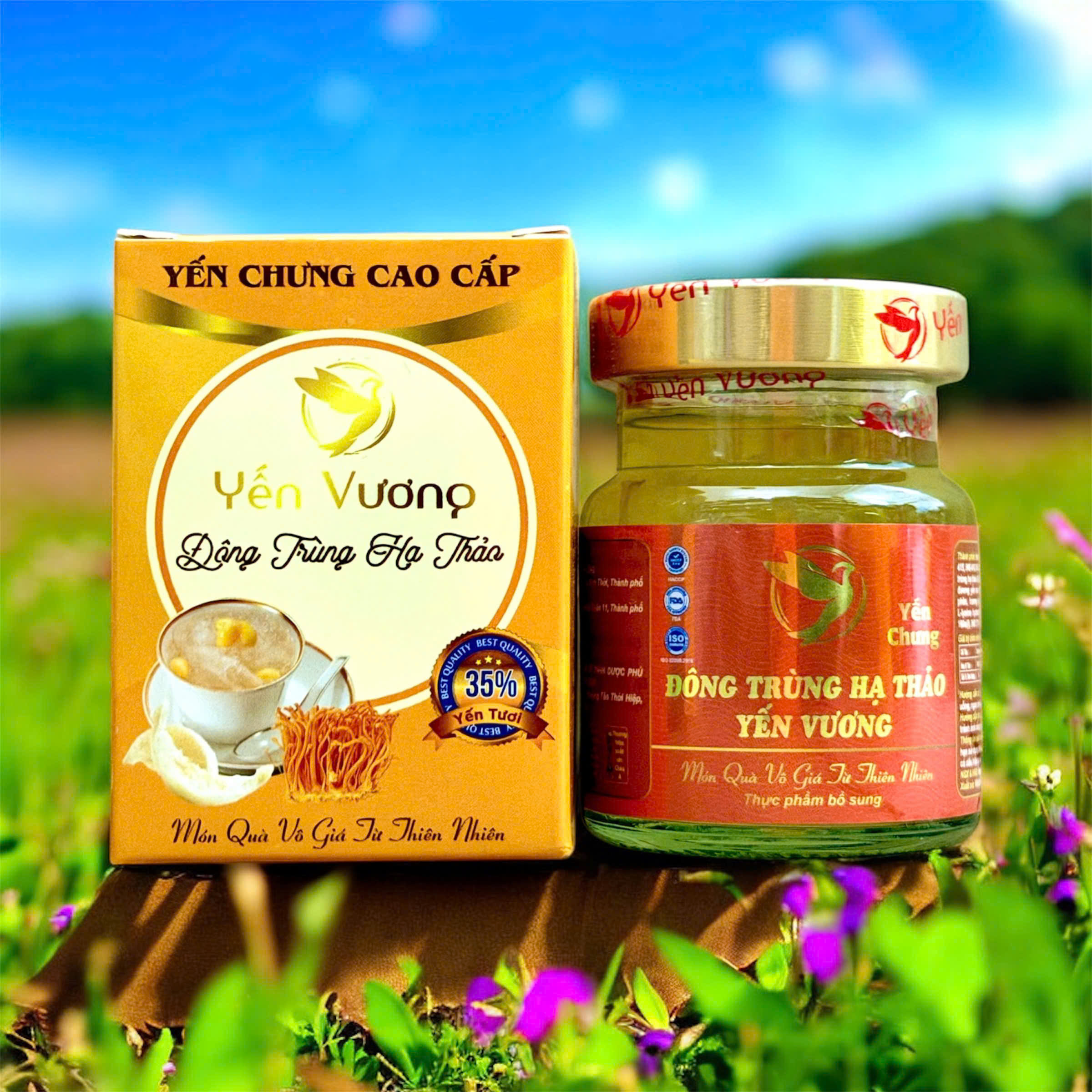 Hũ yến Vương 70ml có hộp Đông Trùng